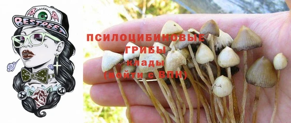 COCAINE Михайлов